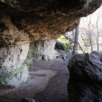 Redbud Valley Nature Reserve